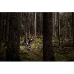 Paire De Roues FULCRUM RED ZONE CARBON 29" Axe Av. 15x110 Mm - Ar. 12x148 Mm Boost -Vélos Et Accessoires E50QBL 2022 Red Zone Carbon Downcountry 004 4U9IF75B600x6005D 1